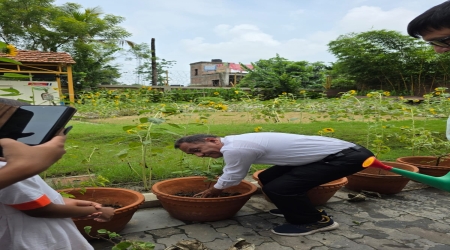 It was a True Service Activity of RSFF, Entire Adhigam Bhumi was flourished with Green , full of Lust well groomed Plants which became Tree  in two Years .