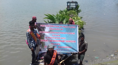 Trees Distribution at Kachukhali - Sunderbans Area