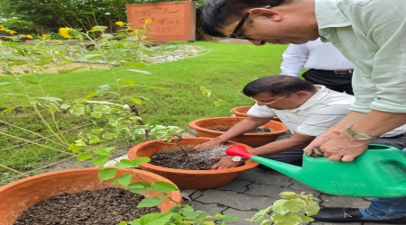 It was a True Service Activity of RSFF, Entire Adhigam Bhumi was flourished with Green , full of Lust well groomed Plants which became Tree  in two Years .