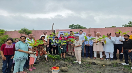 G 9 Banana plants Tree Plantation programme at the back yard of Mandir