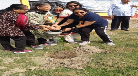 Distribution of 1000 Fruits plants at Ganga Sagar