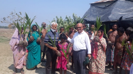 COCONUT PLANTS DISTRIBUTION AT SUNDARBANS