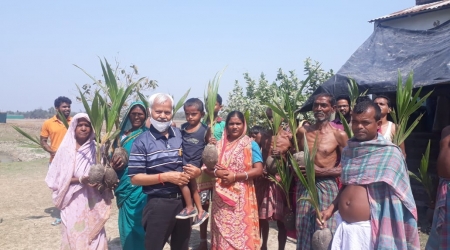 COCONUT PLANTS DISTRIBUTION AT SUNDERBANS