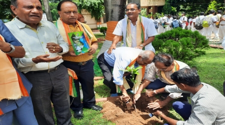 Mega Tree Plantation Drive at DAV Institutions West Bengal Zone