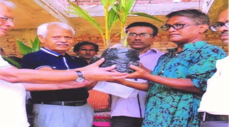 COCONUT PLANTS DISTRIBUTION PROGRAM
