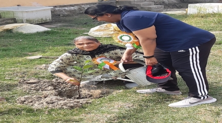 Distribution of 1000 Fruits plants at Ganga Sagar