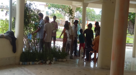 Total Saplings Distributed 700 including 400 Tulsi plants and 300 Mango plants