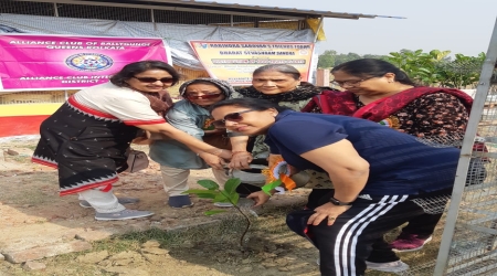 Distribution of 1000 Fruits plants at Ganga Sagar
