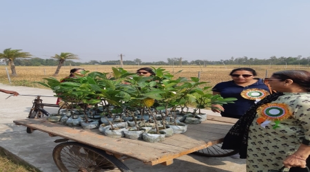 Distribution of 1000 Fruits plants at Ganga Sagar