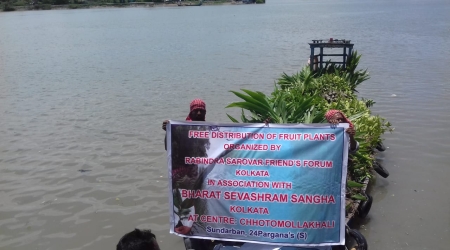 Trees Distribution at Choto Mollakhali - Sunderbans Area