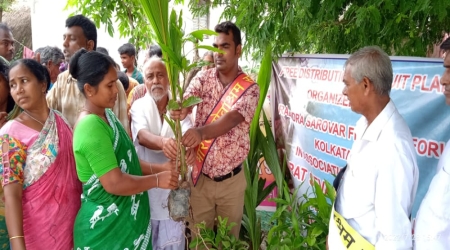Trees Distribution at Kachukhali - Sunderbans Area