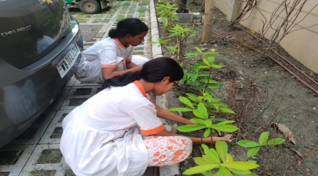 RSFF donated 714 plants and saplings