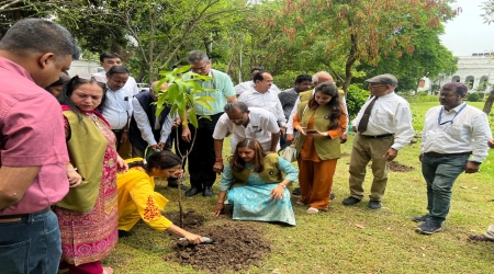 Tree Plantation Drive