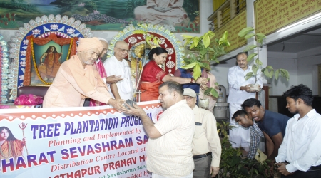 A total of 1000 saplings, including mango plants, were distributed to Bharat Sevashram Sangha.