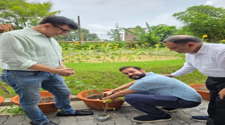 Planted Bougenvalia plants in Big Earthen POT
