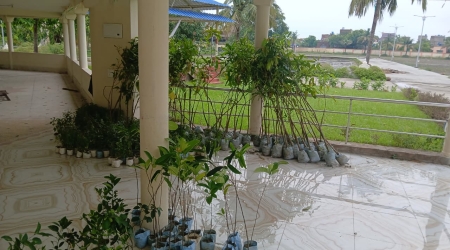 project