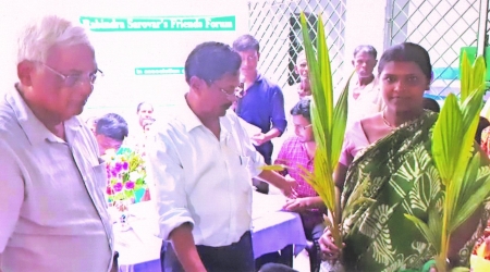 COCONUT PLANTS DISTRIBUTION PROGRAM