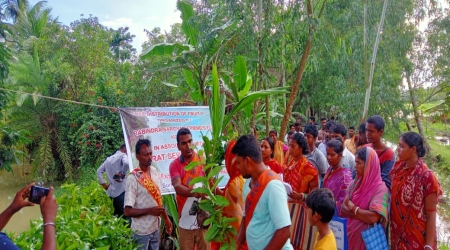 Trees Distribution at Choto Mollakhali - Sunderbans Area