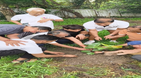 Tree Plantation on this day