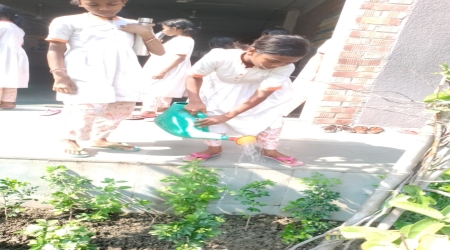 Plants Distribution Programme was organized by Help Us Help Them at Adhigam Bhoomi School, Amgachia, Poilan, in association with Rabindra Sarovar's Friends Forum (RSFF).