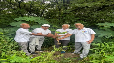 The plantation was fully sponsored by Shri Santosh Kumar Saraf Ji, our Joint PRO, who generously contributed all the Banyan (बरगद) trees for this noble cause.