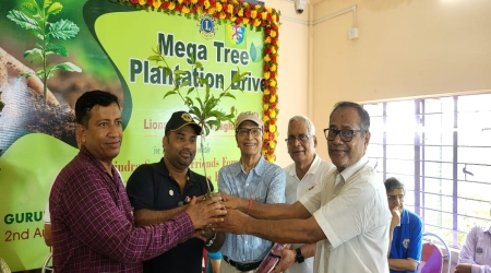 Tree Distribution